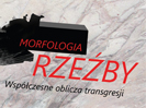 pikto morfologia rzezby